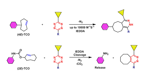 Trans-Cyclooctene （TCO）